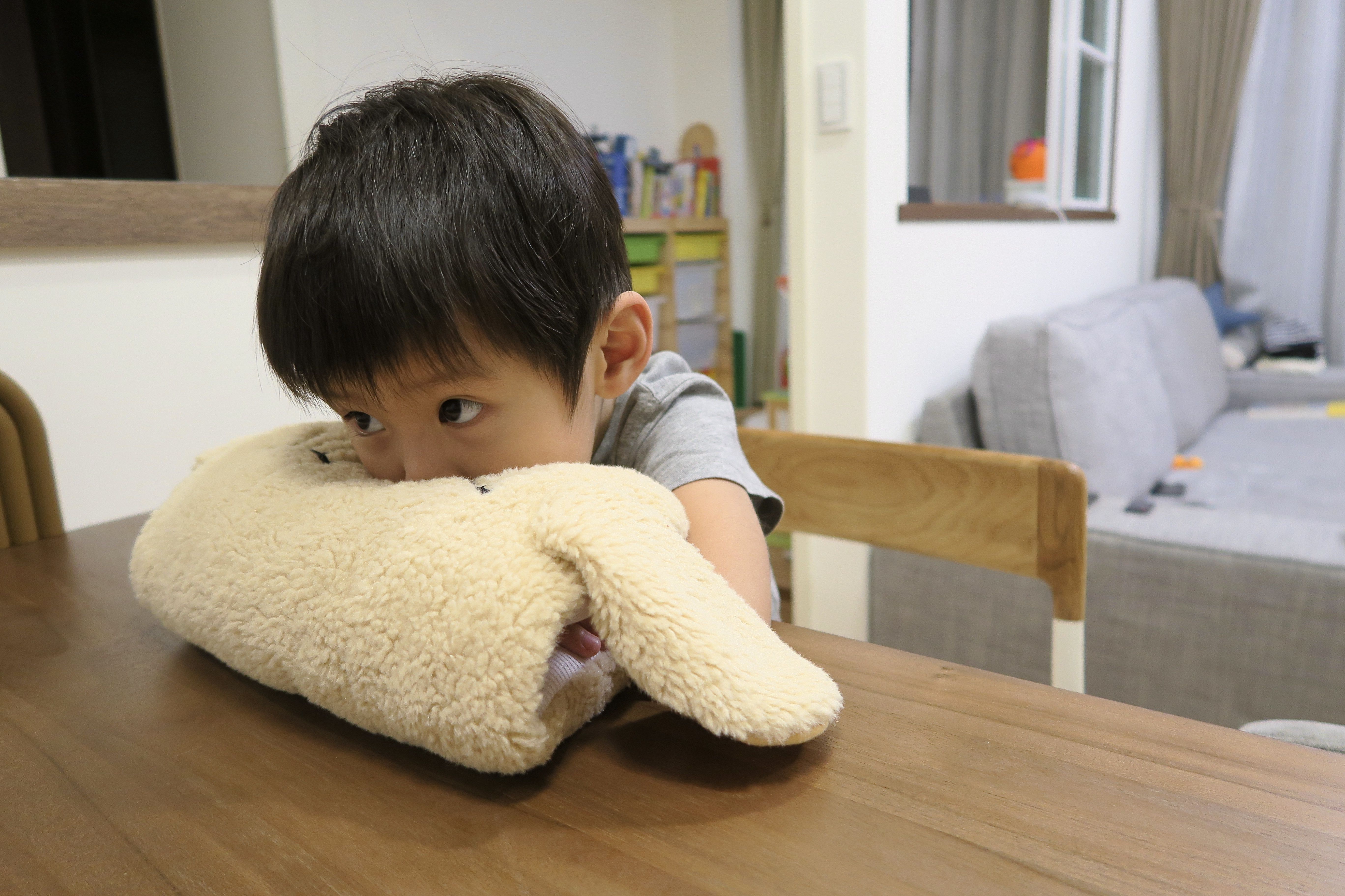 午覺趴睡x安撫【美國 寶貝想夢枕】可愛動物