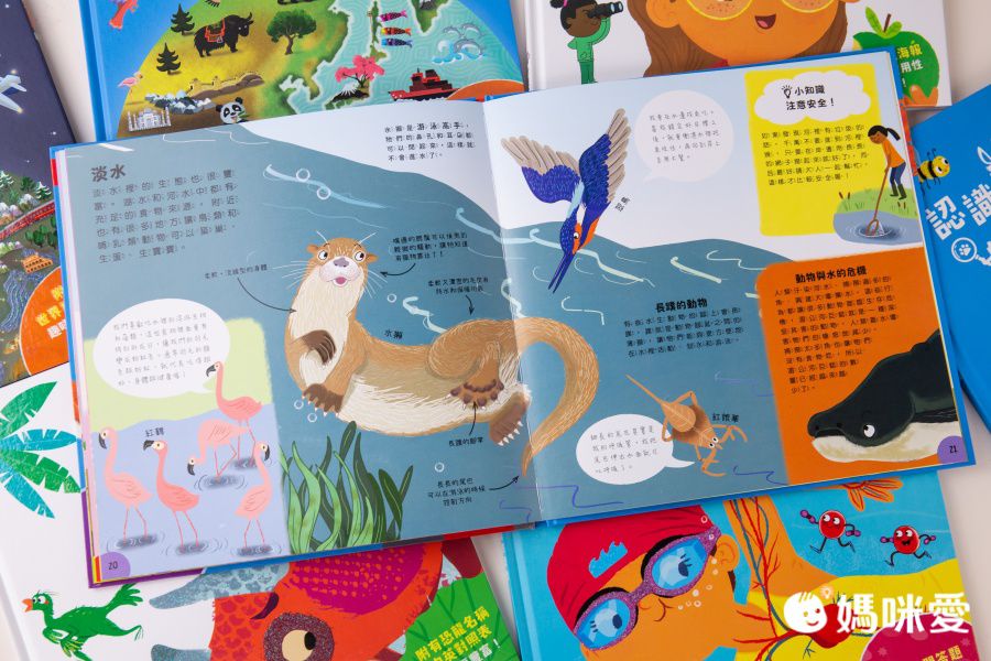 小小知識家的百科書套書10冊(書盒版)