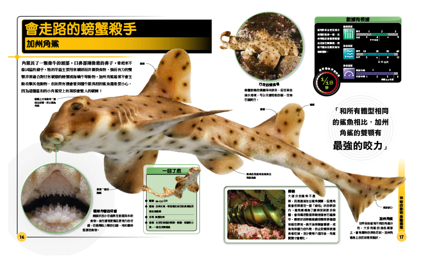 超能力鯊魚百科：驚人的海洋動物大圖解 (精裝 / 208頁 /全彩印刷)
