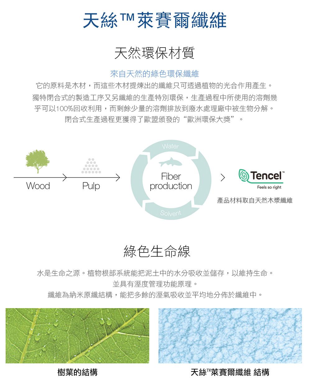 鴻宇 HongYew - 晨曦天絲被 奧地利天絲 冬被 台灣製-雙人6X7