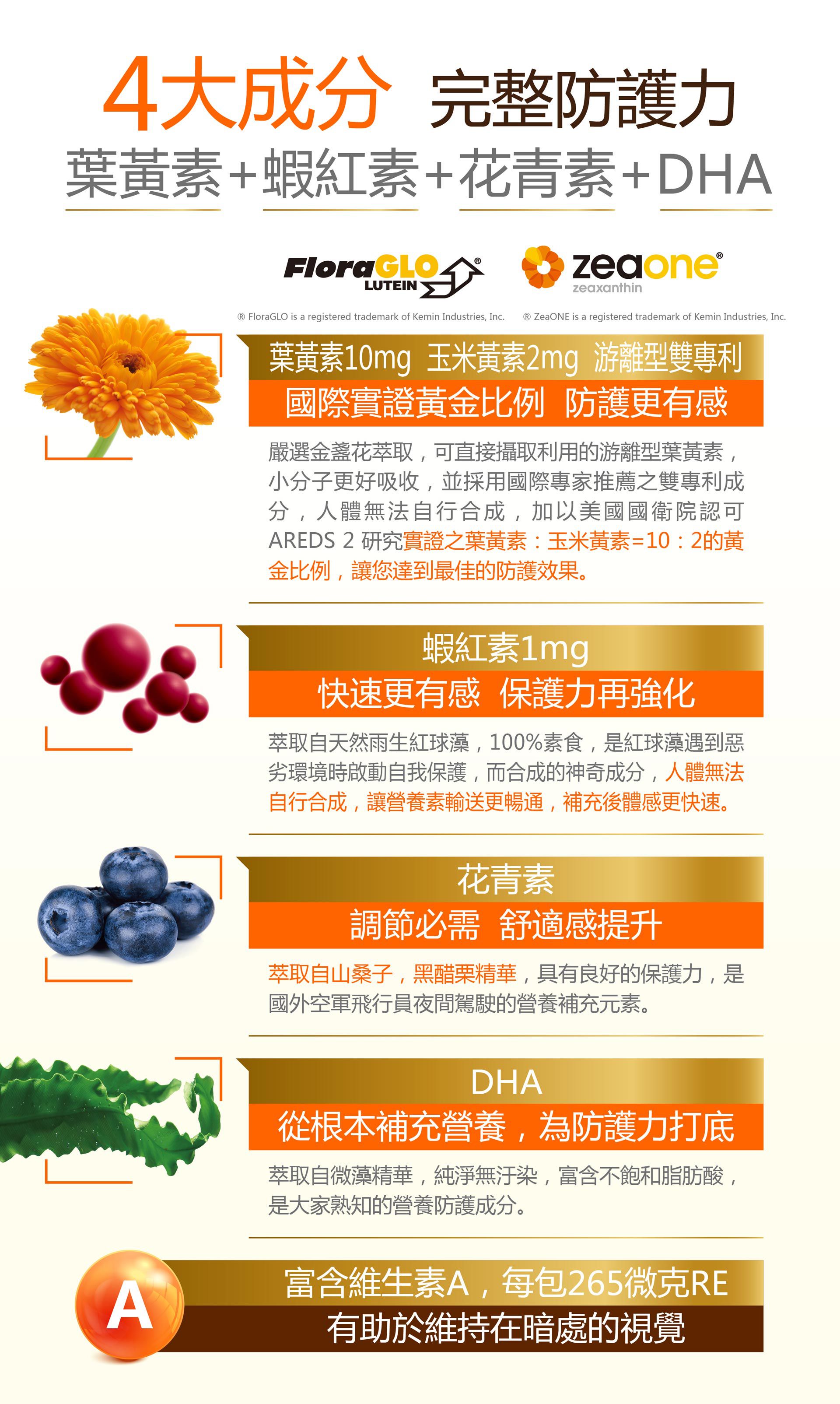 年前最後一團！【健康力】益暢敏益生菌 國家健康食品雙認證