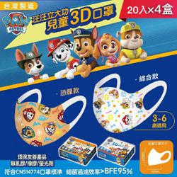 台歐 - 【台歐】汪汪隊3D兒童醫療口罩-20入/盒*4盒-2款可選-摩達客推薦-綜合款