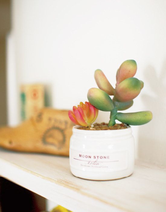 日本 KISHIMA - CT觸媒 消臭仿真多肉盆栽迷你三入組-KH-61190