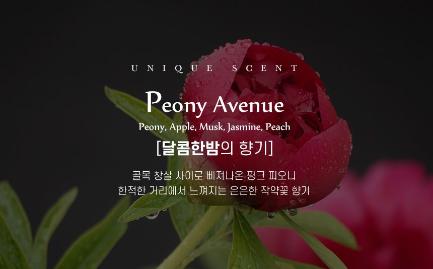 夢幻泡泡澡！韓國 Unique 香氛入浴球｜EWG認證成份