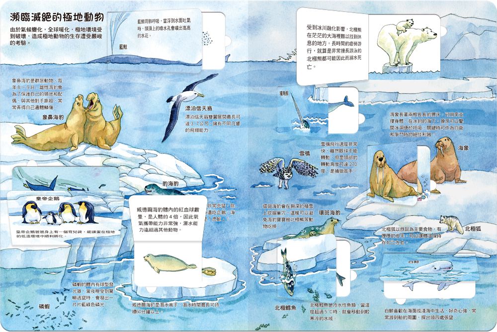 我的STEAM翻翻書：生生不息的海洋-內含7個場景+51個翻頁小機關