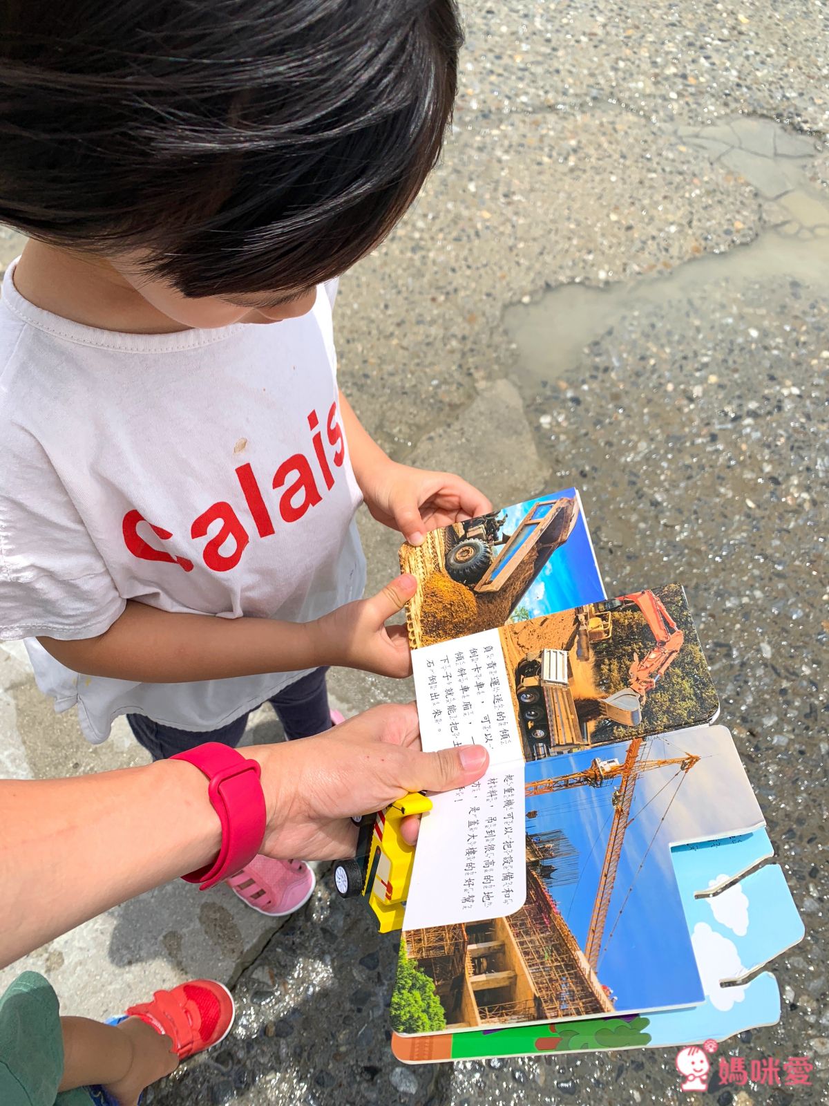 男寶指定書款！《小車書系列》＆《歡樂總動員》