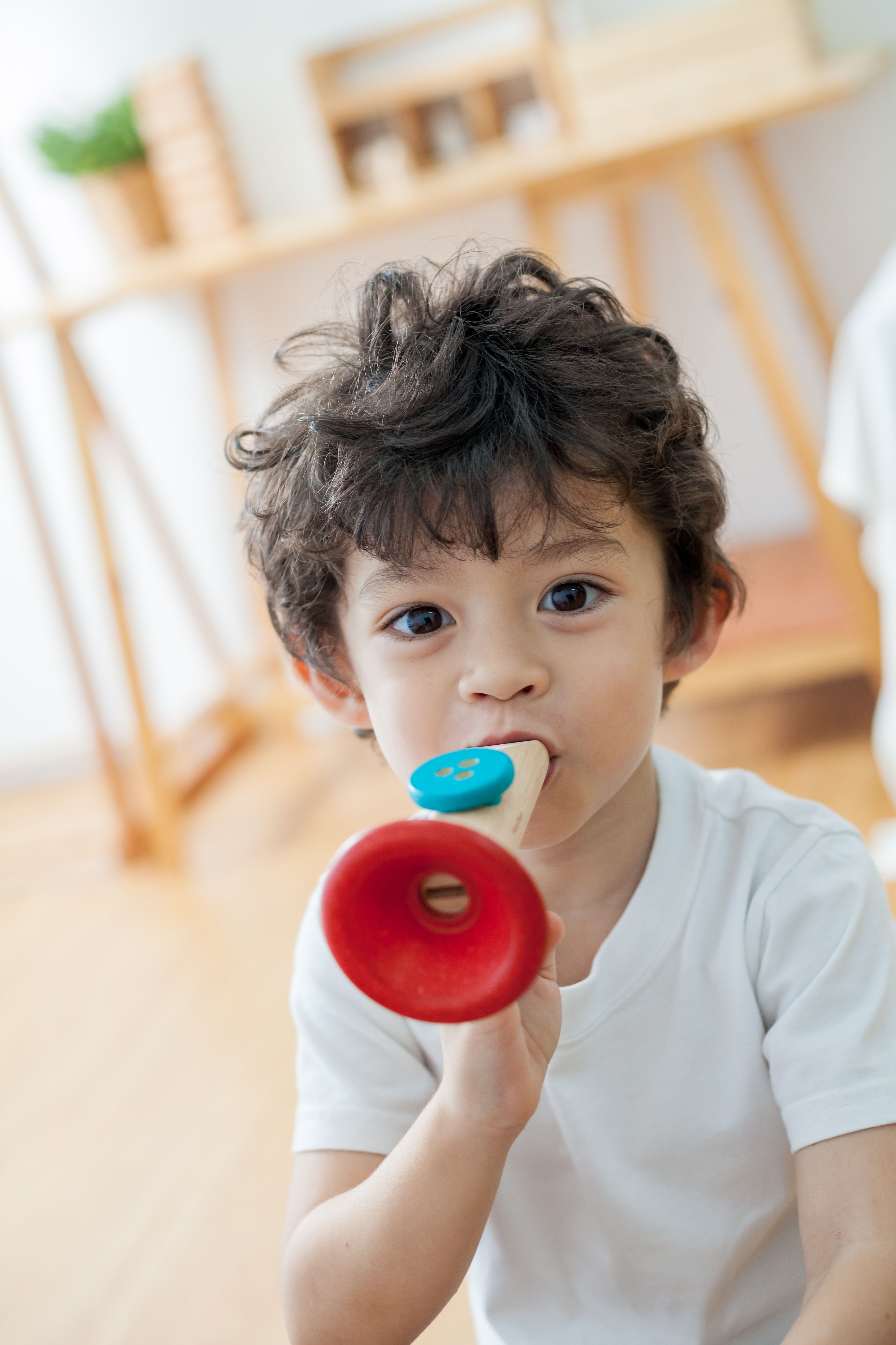 泰國 Plantoys - 木作兒童樂器-卡祖笛