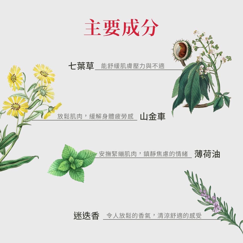 Sanct Bernhard 德國百年草本-馬膏(200ml/罐)