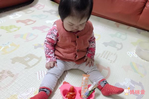 美國 Innobaby蒸盤