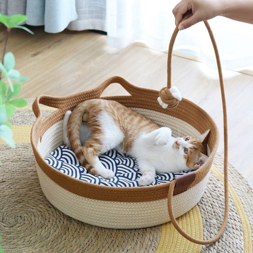 天然貓貓大碗公-贈棉墊竹涼蓆組