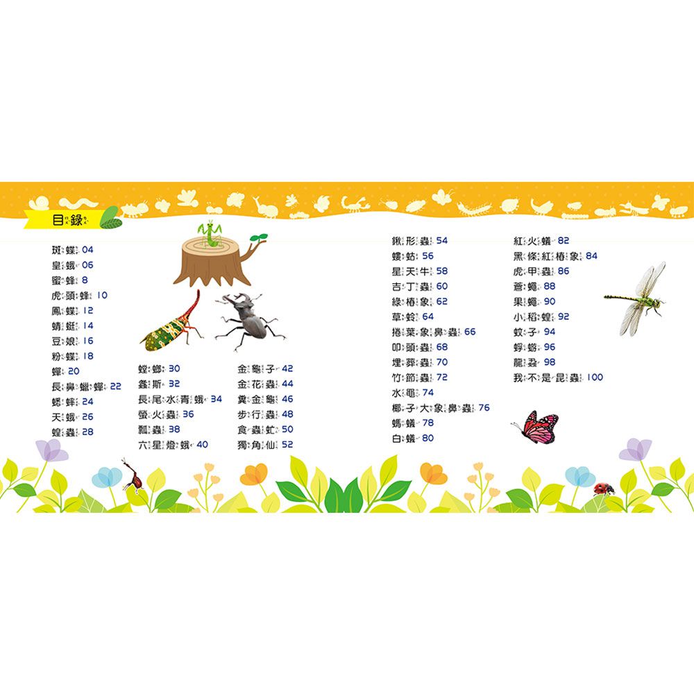 忍者兔魔法投影手電筒:昆蟲王國百科圖鑑