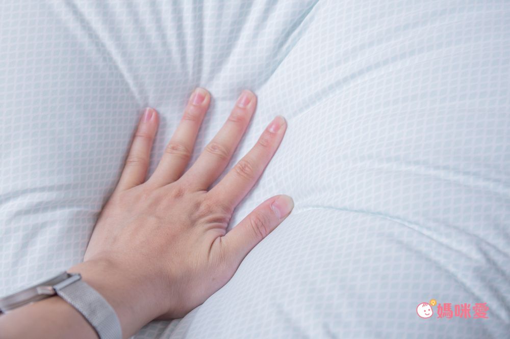 鴻宇 HongYew - 德國科技涼感水洗枕 (單顆)-48X74cm