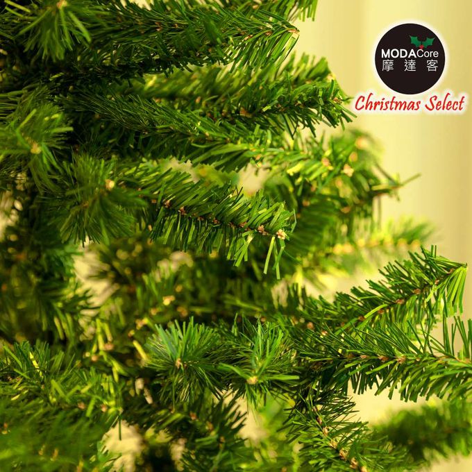 MODACore 摩達客 - 摩達客耶誕★台灣製12尺/12呎(360cm)特仕幸福型綠色聖誕樹裸樹 (不含配件不含燈)本島免運費