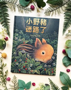 小野豬迷路了