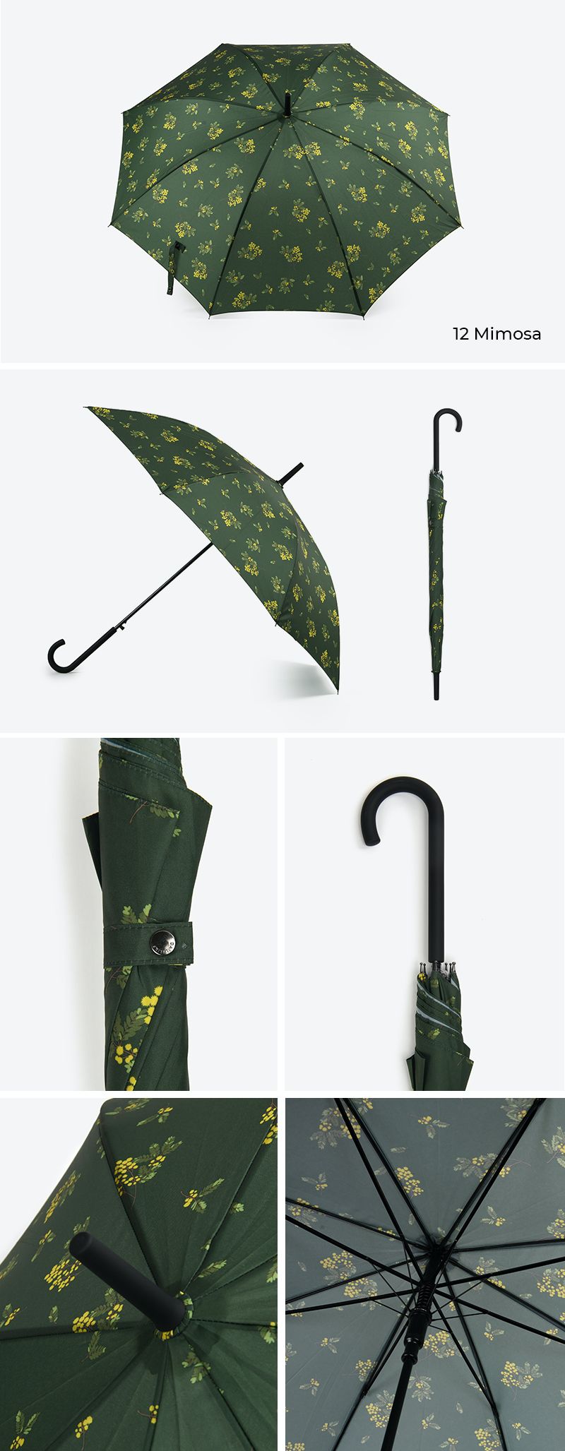 韓國 Daily Like - 直立式長雨傘-含羞草-深綠