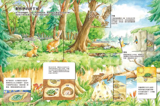 我的STEAM翻翻書：深不可測的地底-7個場景+42個翻頁小機關