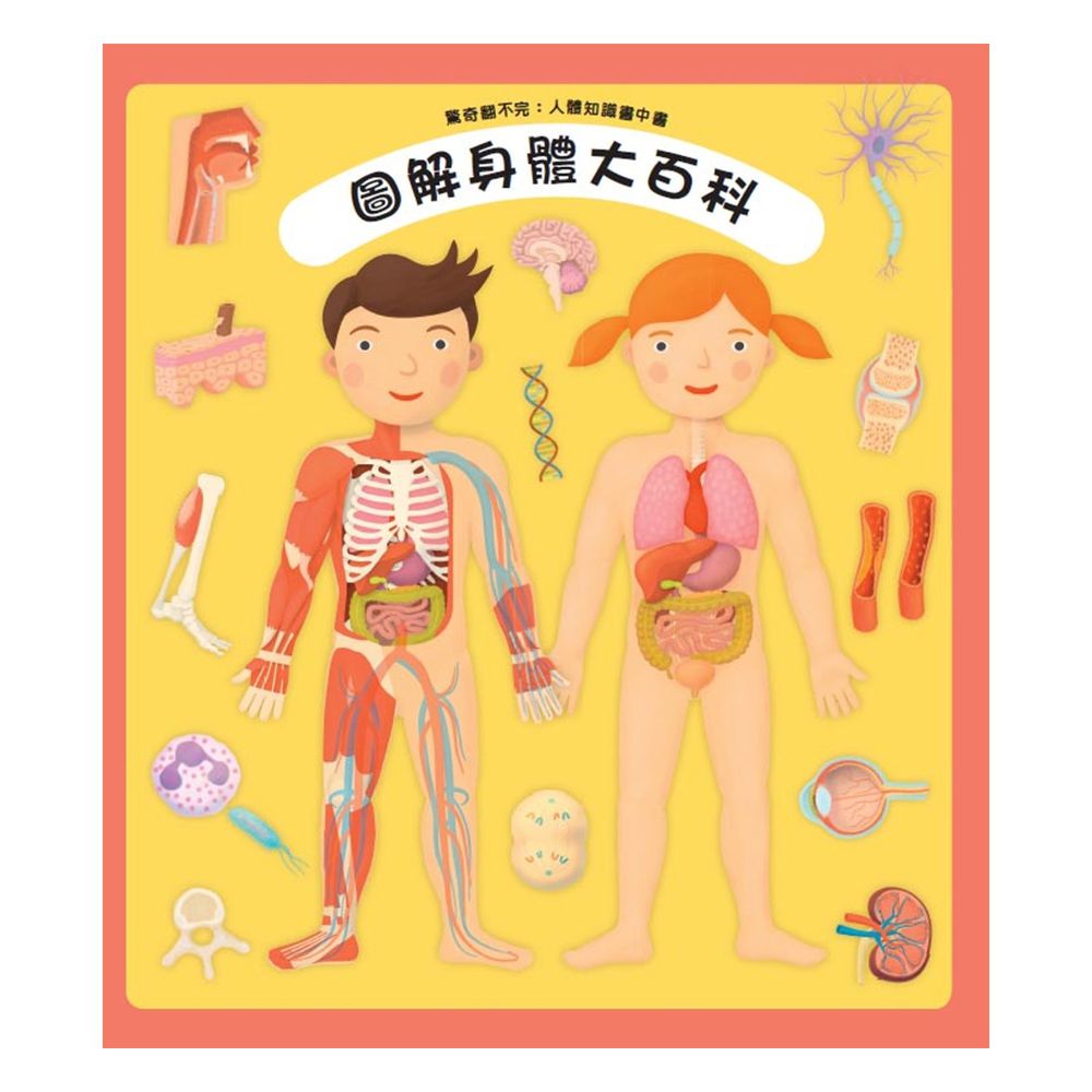 驚奇翻不完:人體知識書中書─圖解身體大百科