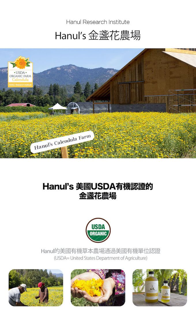 韓國RICO baby - 金盞花有機天然洗衣精補充包 (1.8L)