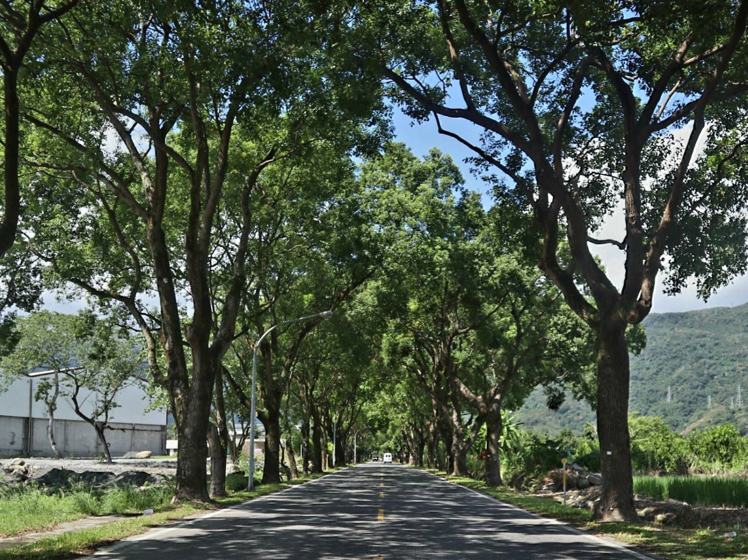 五星級療癒之旅【花蓮秧悅美地度假酒店 Gaeavilla Resort】