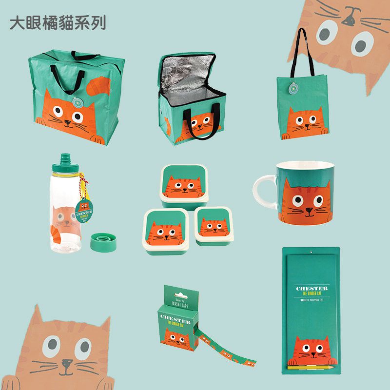 英國 Rex London - 便條紙(背面附磁鐵)-大眼橘貓