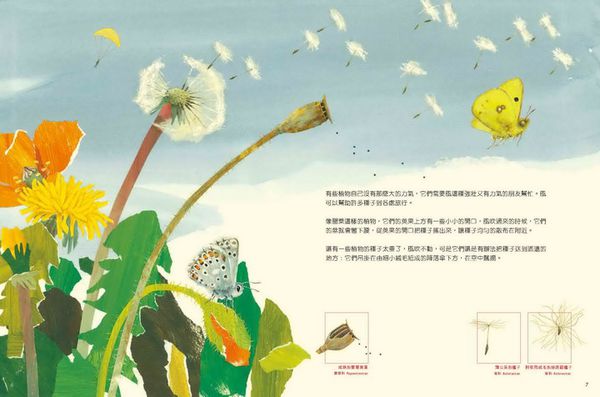 一顆種子的旅行