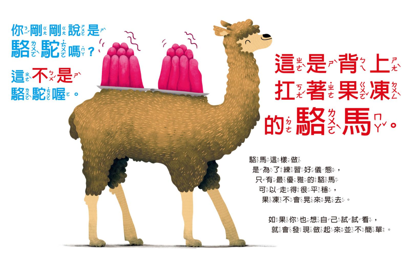 奇形怪影猜猜看