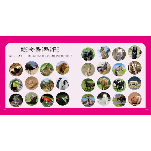 動物圖鑑小百科
