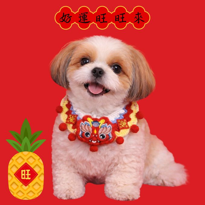 love, charlotte - 新年喜氣龍馬精神寵物圍脖項圈 - 祥龍款 - (脖圍(45cm內))