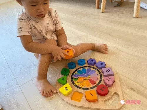 益智學習【英國 Le Toy Van、澳洲 Kiddie Connect】啟蒙教具