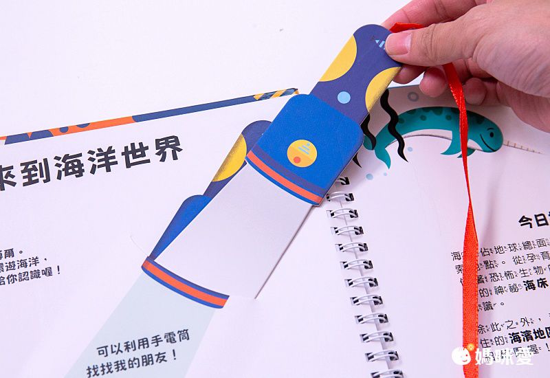 【禾流文創】拿起手電筒，來場夜間探險！『Spotlight！夜遊系列』