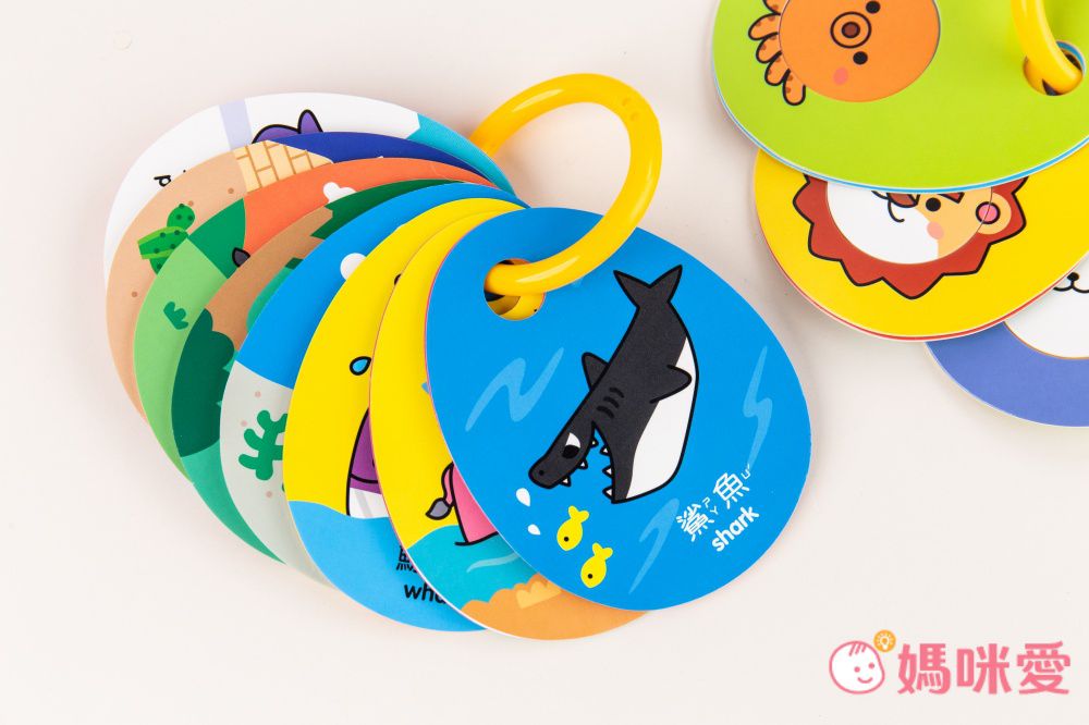 世一文化 - FUN玩形狀配對2套組-動物+交通工具