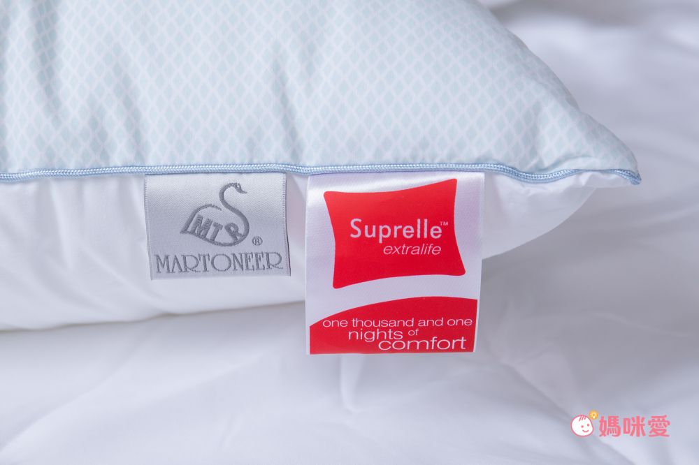 鴻宇 HongYew - 德國科技涼感水洗枕 (單顆)-48X74cm