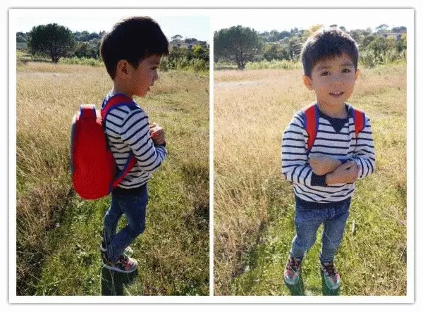 美國 Dabbawalla 瓦拉包