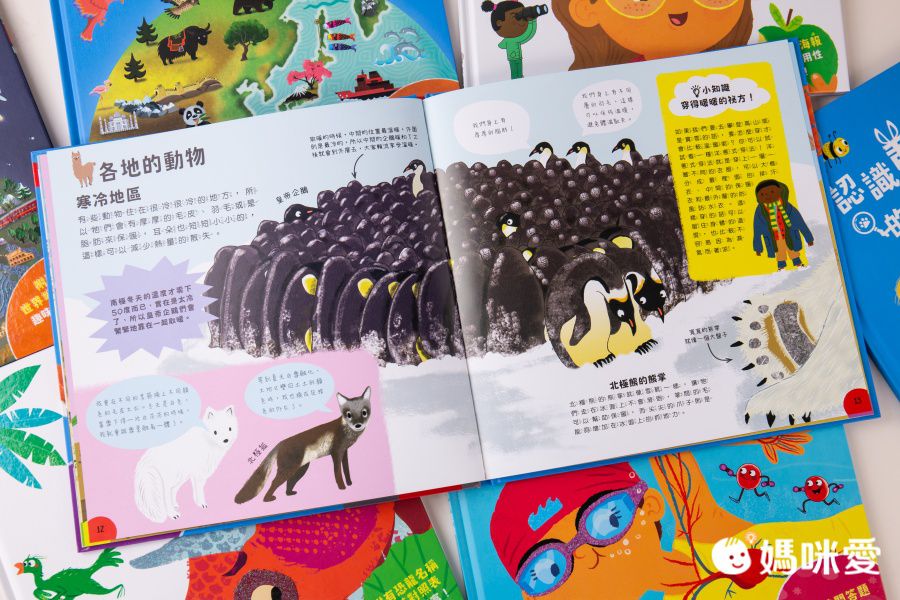 小小知識家的百科書套書10冊(書盒版)