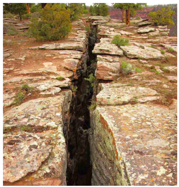 地球小百科(全新小百科 正方形)