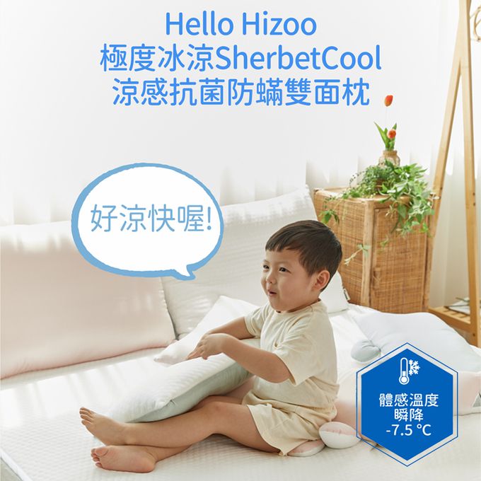 正韓Hello HiZoo - 極度冰涼 Sherbetcool 涼感造型抗菌防蟎雙面枕/涼感枕/護脊/護頸枕-薄荷綠