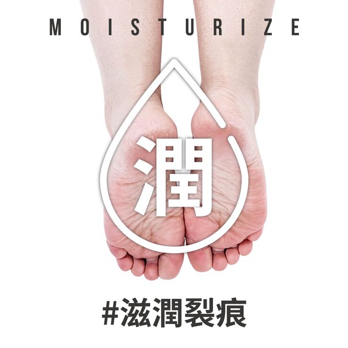 貝柔 Peilou - 抑菌萊卡消臭嫩足襪-短襪學生襪(女-6雙組)-白色 (24-26cm)