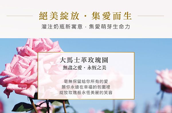 Simba 小獅王辛巴 - 蘿蔓晶鑽標準玻璃小奶瓶-粉紅 (搭配圓孔S奶嘴)-新生專用