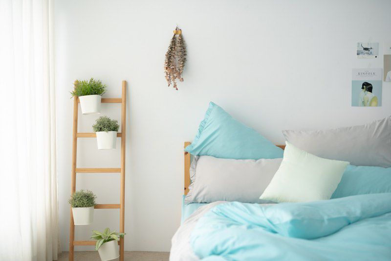 飛航模飾 - 有機纖維針織天絲 荷葉款式床包被套組-淺草綠(雙人床包被套四件組) (雙人5*6.2尺)