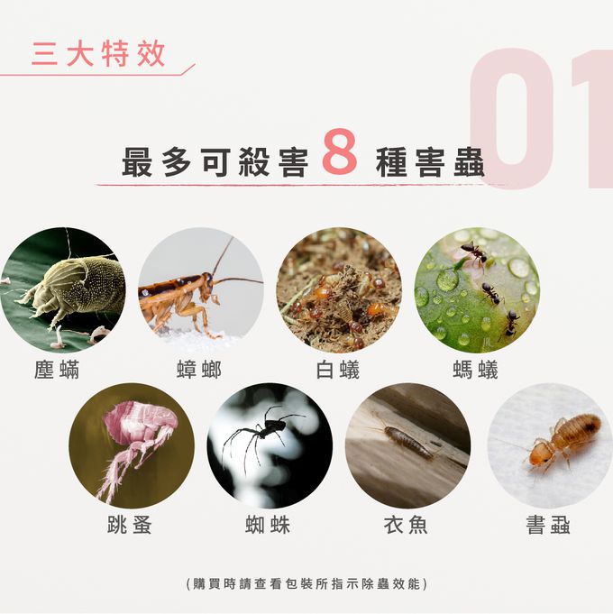 鱷魚 - 水蒸式殺蟎滅蟑劑-20g*3入