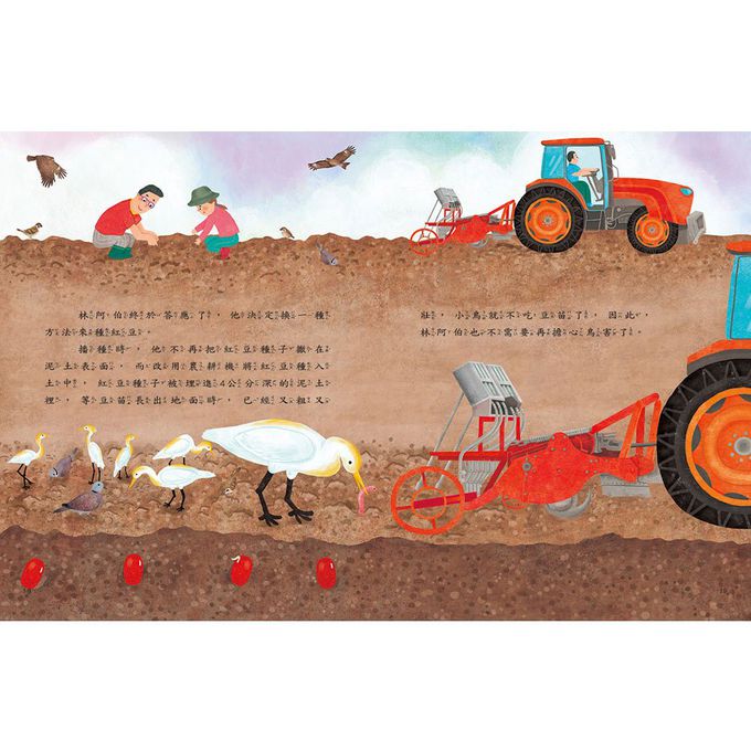 愛的故事‧知識繪本9：藏在紅豆裡的愛