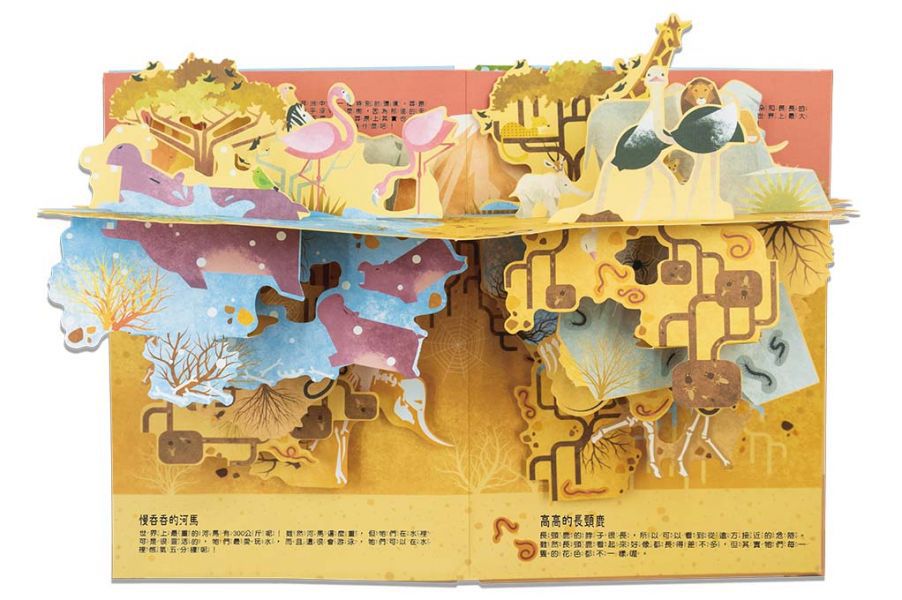 地上下的立體世界-奇妙的大自然