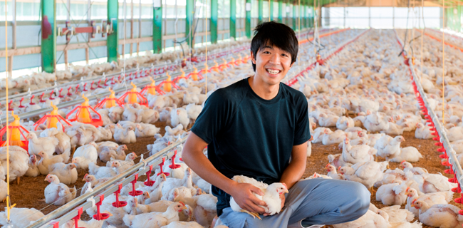 全植物性飼料飼養【秋川牧園】無投藥雞兒童日式調理包