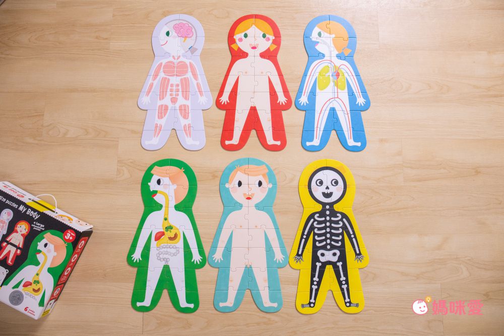 Banana Panda - 真正超大地板拼圖-我的身體-84片