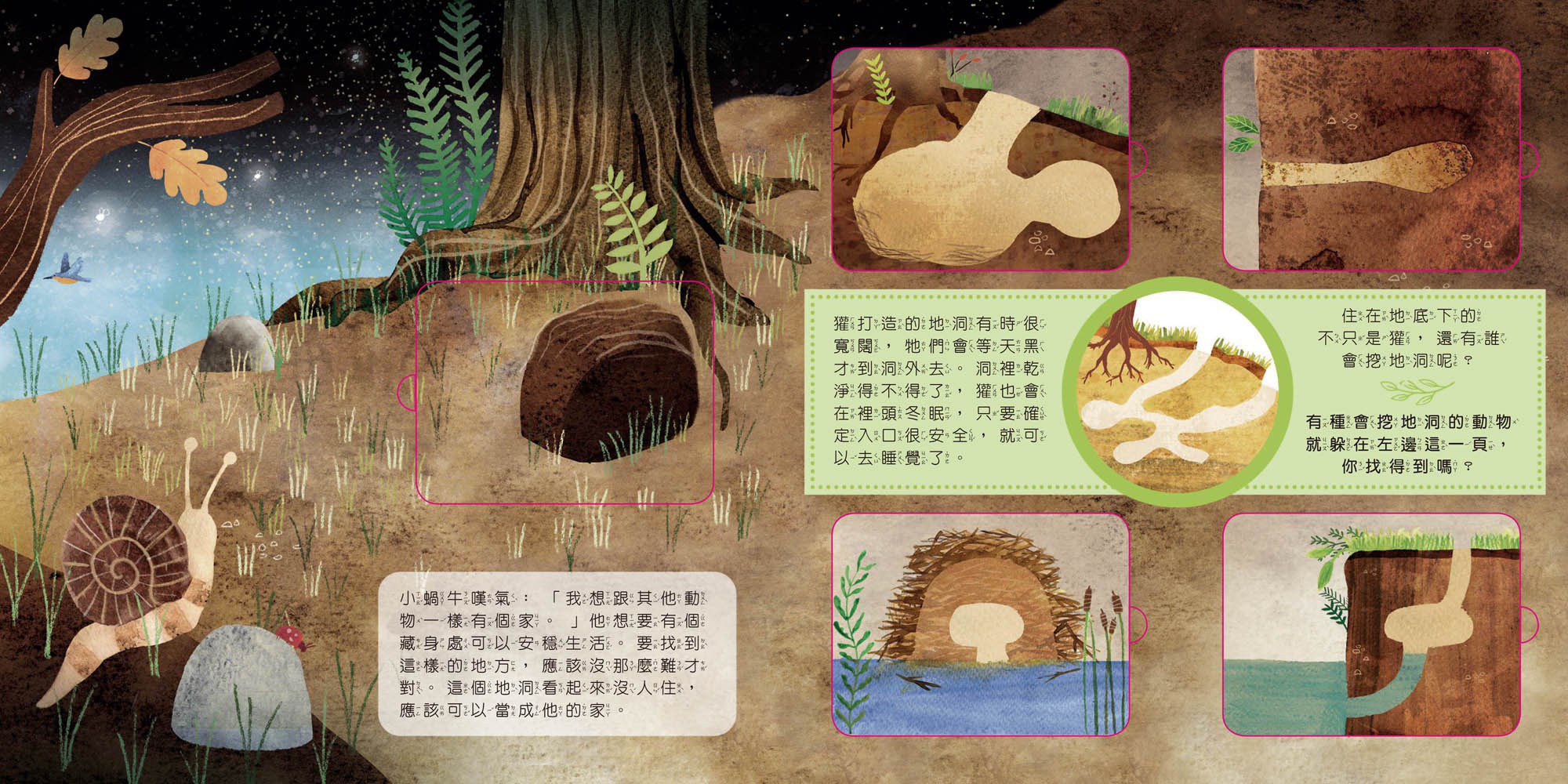 動物小知識翻翻書：這是誰的家？