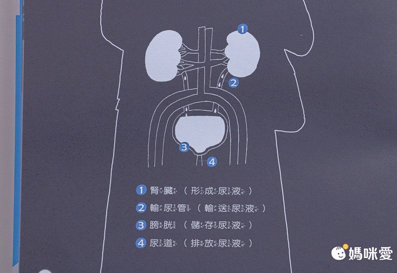 康軒文教事業 - 嘎嘎的光照書-2本一套