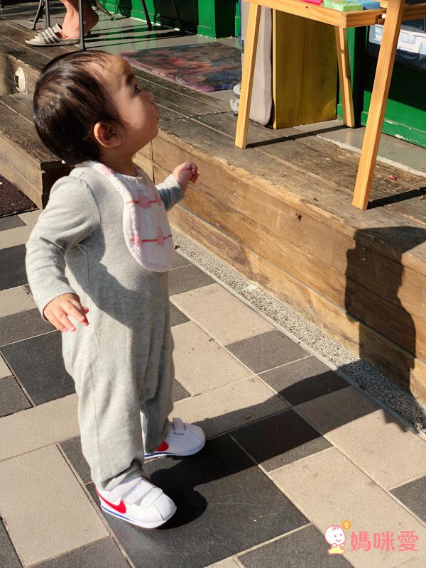 NIKE - Cortez GS 阿甘鞋(中童)-白藍紅