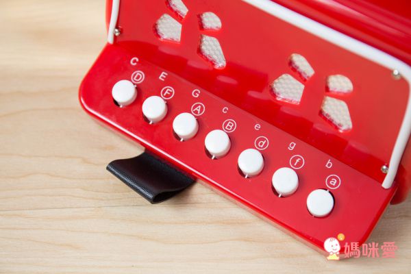 荷蘭 New Classic Toys - 幼兒手風琴玩具-活力紅