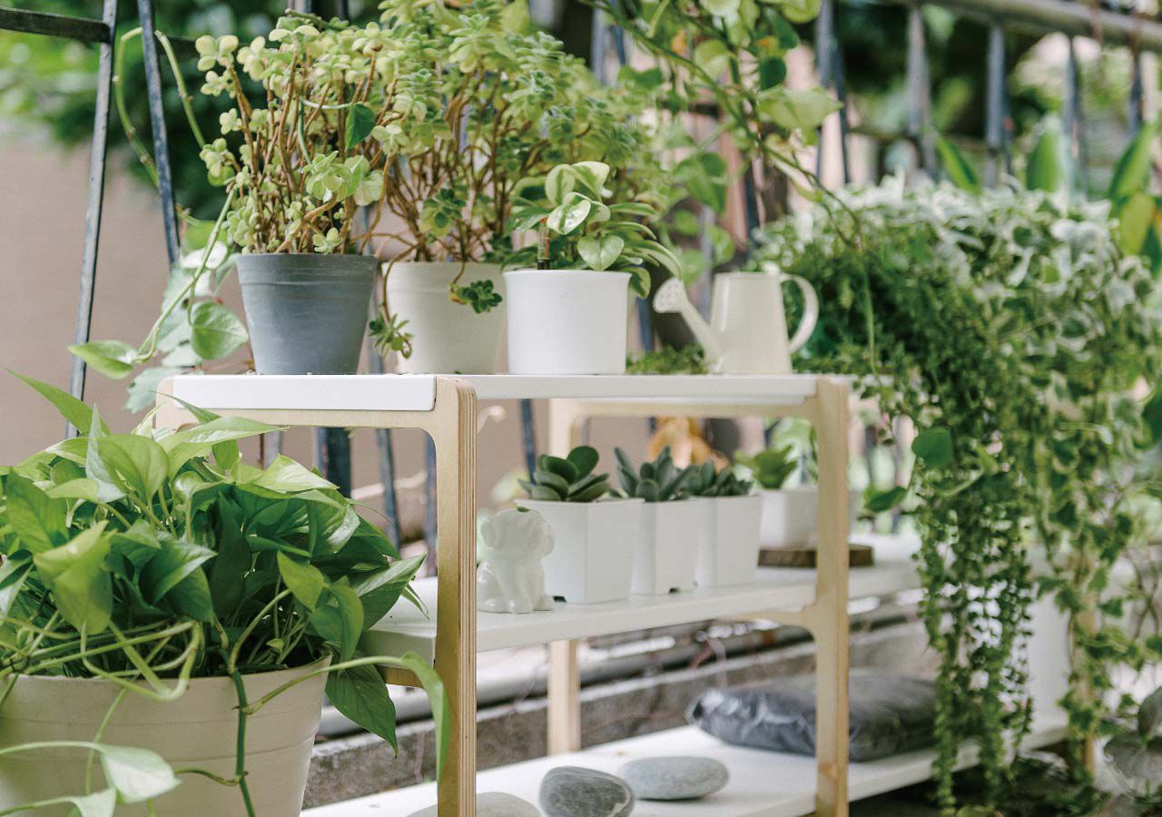 走走家具 - 走走兩用架-清新白 (90 / 34 / 42 (cm))