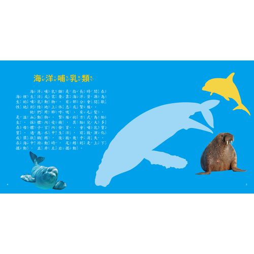 海洋圖鑑小百科